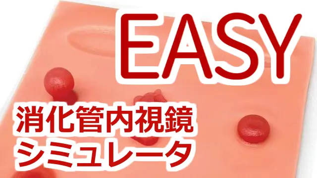 EASY 消化管内視鏡シミュレータ